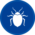 Bed bug icon, Bed Bugs exterminator des moines, bed bug exterminator near West Des Moines, bed bug control Pleasant Hill IA, bed bug professional Urbandale