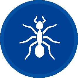 ant control | pest control in Des Moines, Iowa