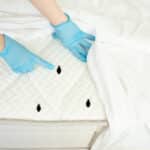 bed bug treatment - Des Moines, Iowa - Diam Pest Control