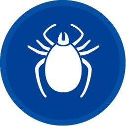 Tick Control Des Moines, IA - Diam Pest Control