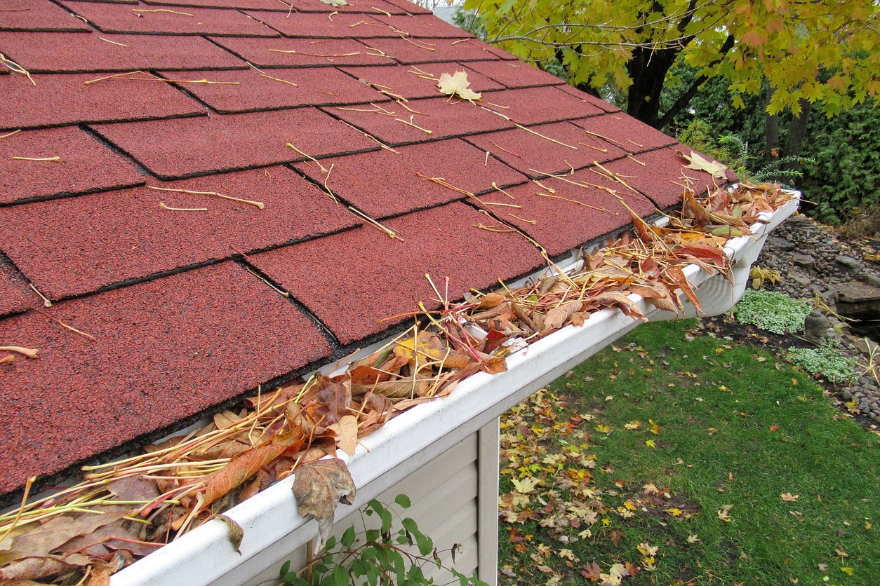 Clean Gutters and Downspouts to avoid pests - Diam Pest Control